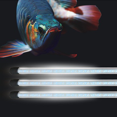 龙鱼灯鱼缸照明灯水族灯LED鱼缸灯